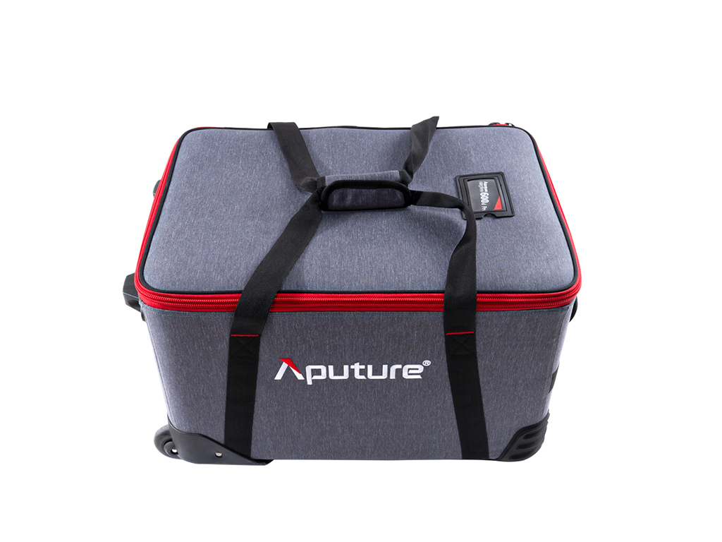Aputure Ls 600d Pro Daylight (V-Mount)