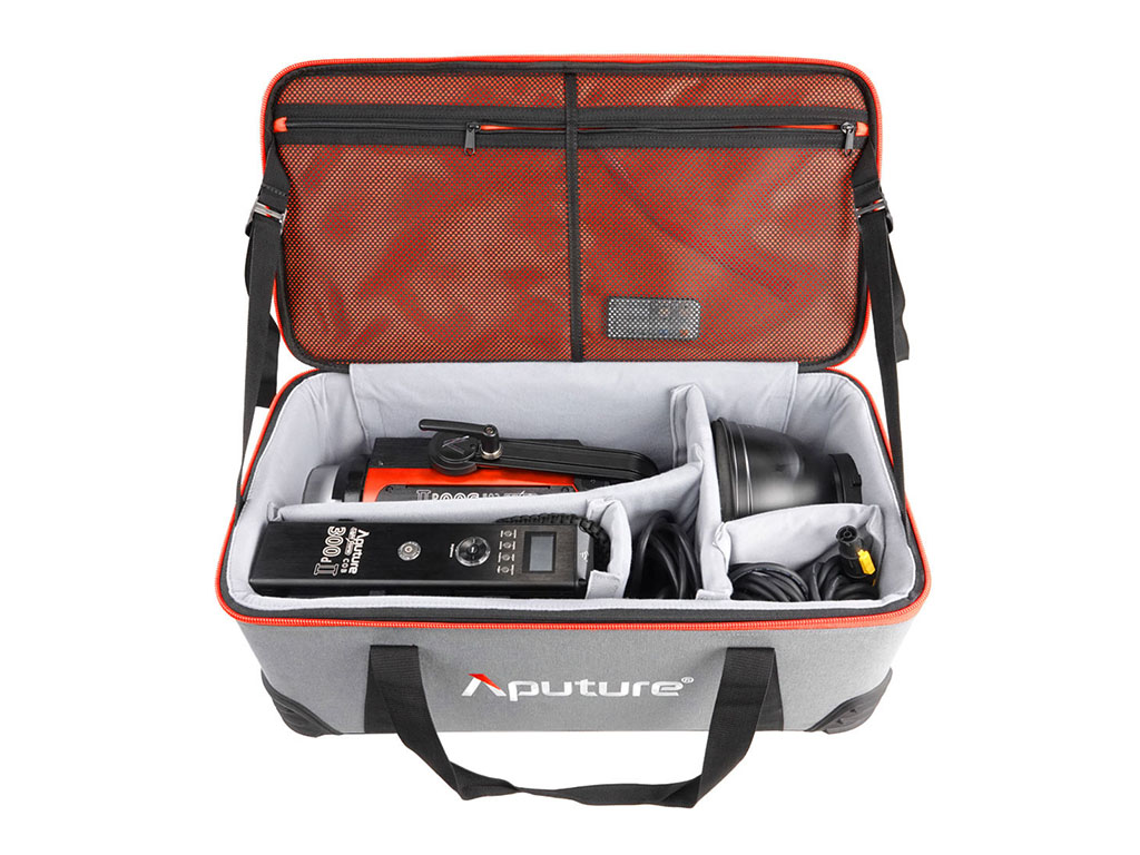 Aputure LS C300d II Daylight (V-Mount)