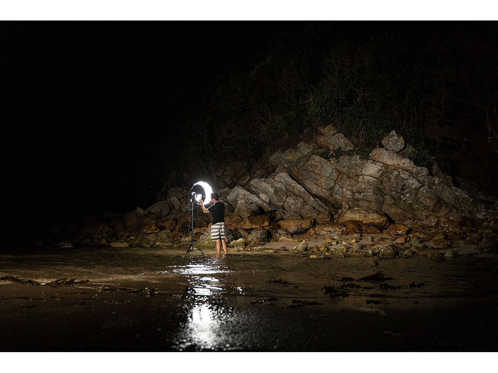 Aputure Lantern 65cm Balon Softbox