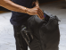 Peak Design 45L Siyah Seyahat Çantası
